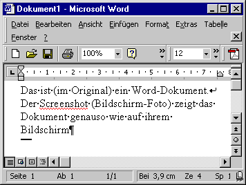 Screenshot MS Word