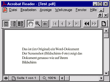 Screenshot Adobe Acrobat Viewer