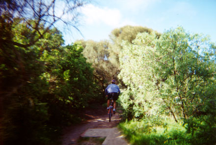 Beach trail along the coast