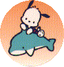 [ pocha pocha ]