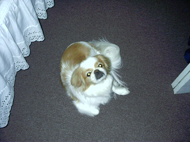 Milo