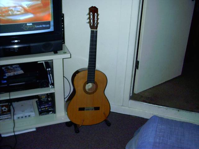 Acoustic Guitar