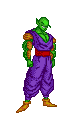 Piccolo's Cape Appears