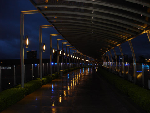 bridge photos