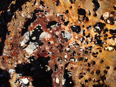 Texture Photos