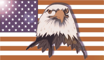 eagleflag 3