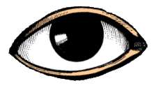 eye