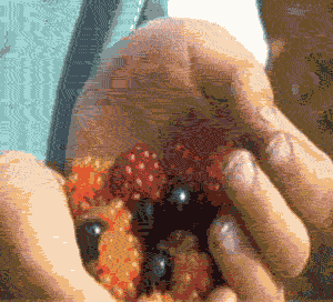 Hands shown in different activities