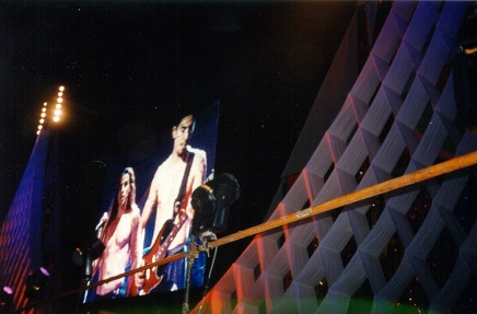 Chili Peppers