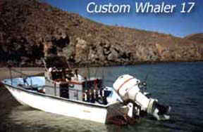 Whaler at anchor - Baja