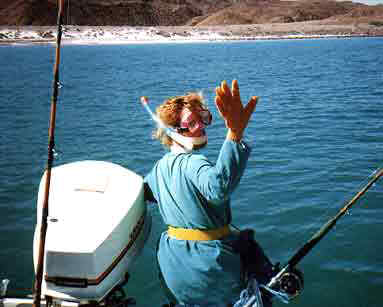 Diving at Isla Angel de la Guarda