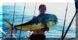Geoff's grande Dorado!
