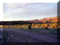 Morning light illuminates the green desert so of Puertocitos 