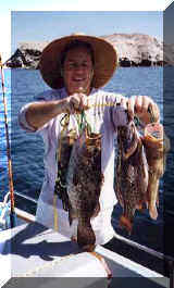 LA Bay grouper
