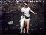 Corvina 1988 released to spawn again