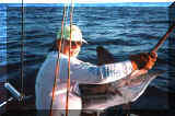 Paul's first Marlin