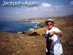 sand bass caught from shore