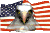 American Eagle Flag animated GIF.