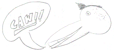 Lazo Crow