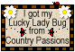 ladybug