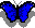 butfly