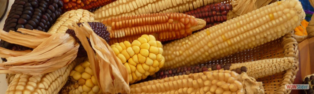 comida_tipica