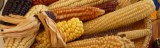 comida_tipica
