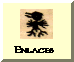 enlaces1.gif (1361 bytes)