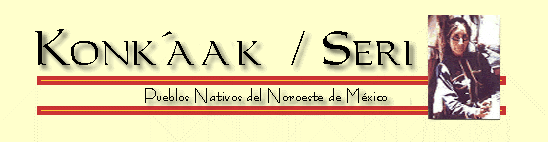 seribannercompleto.gif (13570 bytes)