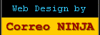 Dise&ntilde;o Web por Correo NINJA