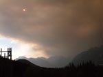 Forest fire smoke