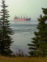 Deer Island