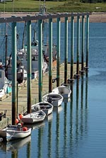 Dipper Harbour