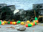 Floats