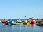 The primary fleet