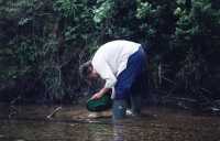 Panning for gold at Lightning Creek - The Cariboo
