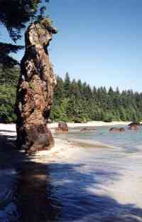 Cape Scott Provincial Park