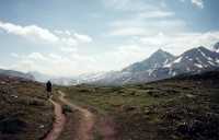 Hiking Wilcox pass - Jasper National Park