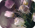 Amethyst Baroque