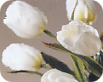 Antique Clear