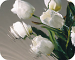 Clear Baroque