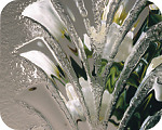 Clear Fountain Glass