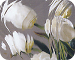 Grey Baroque