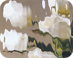 Waterglass