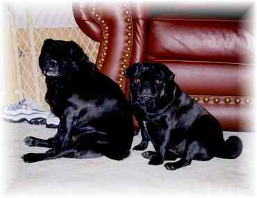 You can click here and go see Wrinkles