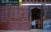 ParoKidsInDoor.jpg (22889 bytes)