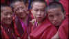 ThimpuMonks.jpg (19478 bytes)