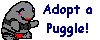 Adopt a Puggle!
