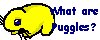 What are Puggles?