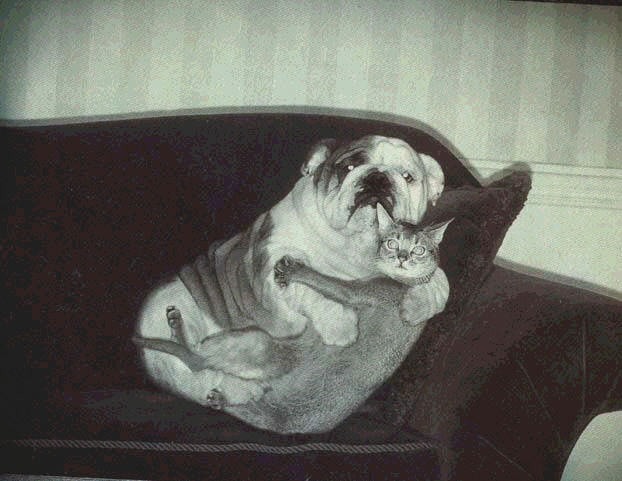How Cute is This? !!